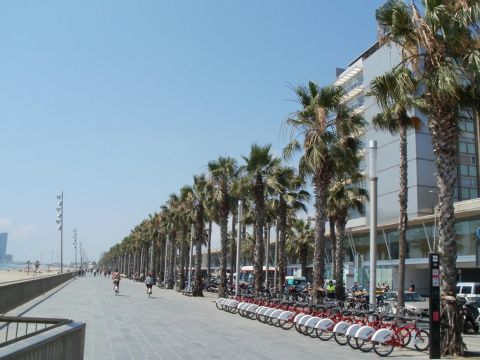 paseo-maritimo-barceloneta 480x360 7d1960c700969d4f78d904c64db436f2